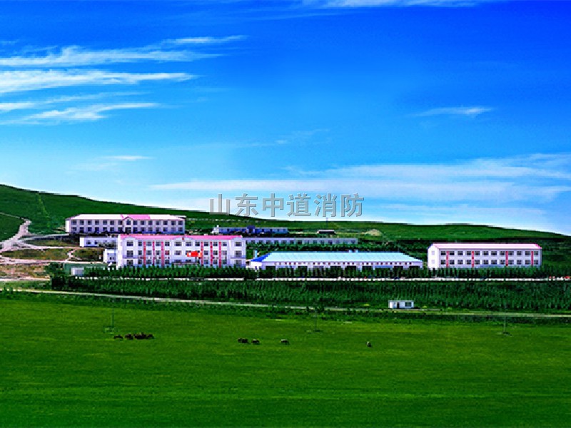 山東黃金車(chē)輛設(shè)備自動(dòng)滅火系統(tǒng)裝置